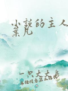 小说的主人公叫叶凡