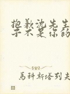 抱歉沈先生,孩子不是你的短剧全集大结局