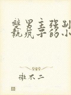 双男主强制爱偏执疯子的小说