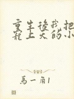 重生后我把夫君宠上天的小说