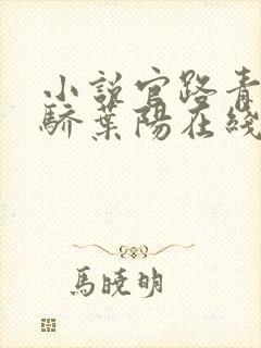 小说官路青云天骄叶阳在线阅读