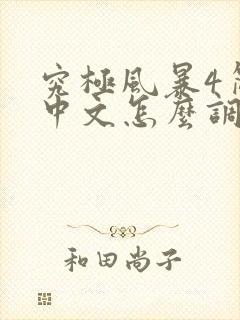 究极风暴4简体中文怎么调