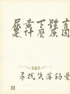 尿黄下体有异味是什么原因