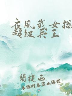 夜风武女总裁的超级兵王