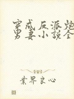 穿成反派炮灰的男妻小说全文阅读