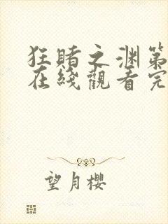 狂赌之渊第二季在线观看完整免费高清