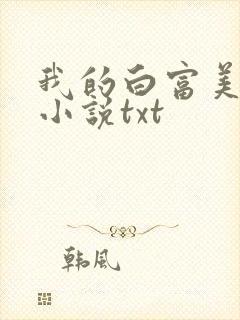我的白富美老婆小说txt