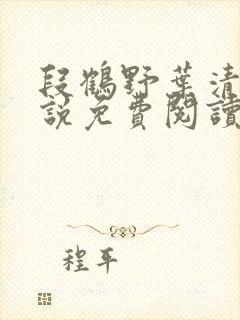 段鹤野叶清璃小说免费阅读最新章节