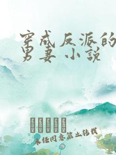 穿成反派的替身男妻 小说