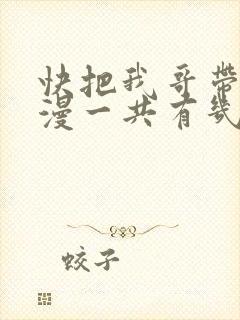 快把我哥带走动漫一共有几季