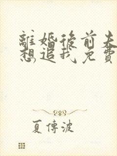 离婚后前夫总是想追我免费阅读全文章节