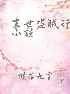 末世盗贼行有声小说