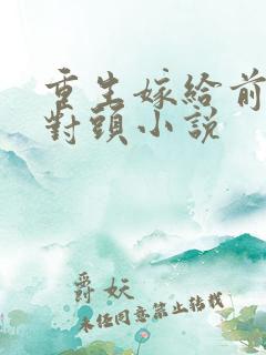重生嫁给前夫死对头小说