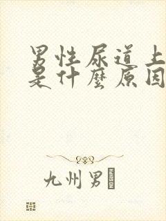 男性尿道上水泡是什么原因