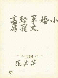 高干军婚小说推荐宠文
