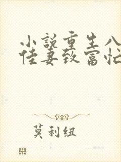 小说重生八零:佳妻致富忙