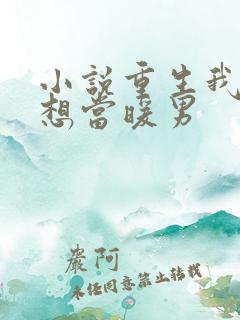 小说重生我真没想当暖男