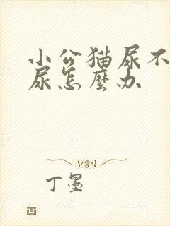 小公猫尿不出来尿怎么办