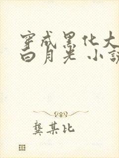 穿成黑化大佬的白月光 小说