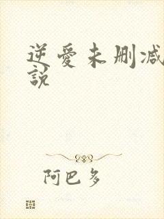 逆爱未删减版小说
