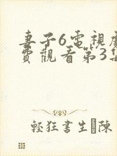 妻子6电视剧免费观看第3集