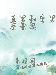 直男和弯男是什么意思