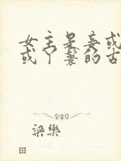 女主是妾或外室或丫鬟的古言