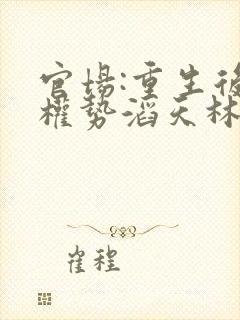 官场:重生后我权势滔天林峰全文