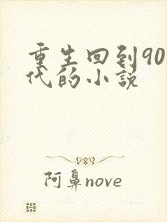 重生回到90年代的小说