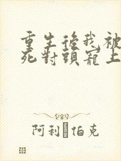 重生后我被渣男死对头宠上天.