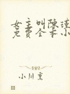 女主叫陈瑾宁的免费全本小说