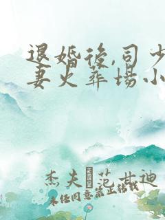 退婚后,司少追妻火葬场小说电子书