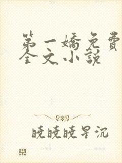 第一娇免费阅读全文小说