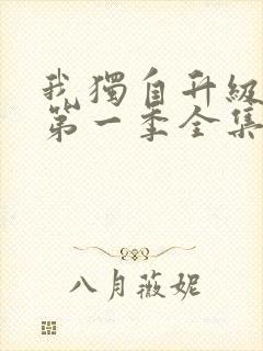 我独自升级动漫第一季全集免费观看