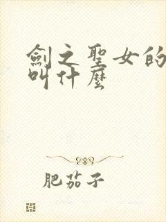 剑之圣女的本子叫什么