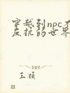 穿越到npc不反抗的世界小说