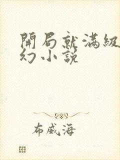 开局就满级的玄幻小说