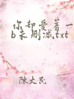 你却爱着一个sb未删减txt