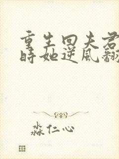 重生回夫君大婚时她逆风翻盘