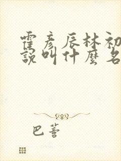 霍彦辰林初霁小说叫什么名字