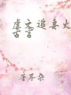 虐文追妻火葬场古言