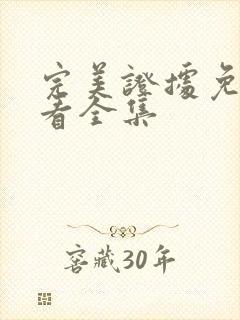 完美证据免费观看全集