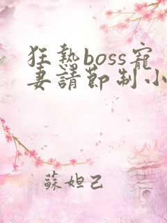 狂热boss宠妻请节制小说免费