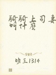 骑骑上司妻女主叫什么