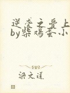 逆袭之爱上情敌by柴鸡蛋小说