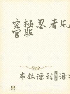 究极忍者风暴4官版