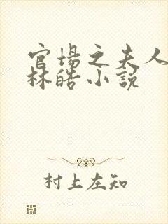 官场之夫人路线林皓小说