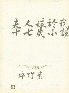 夫人嫁于我时才十七岁小说