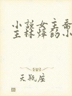 小说女主乔念男主林烨的小说