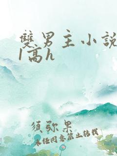 双男主小说1v1高h